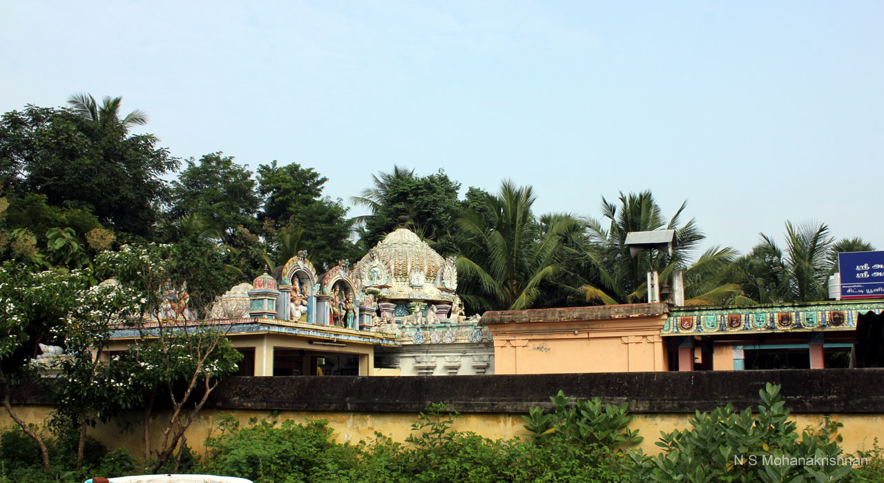 agastheeswara-karuvalar2