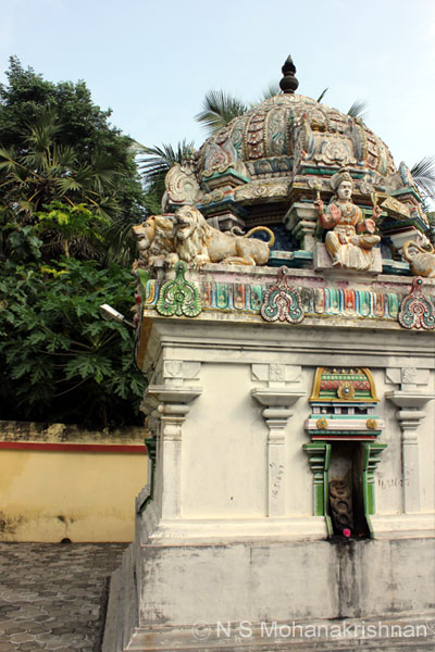 agastheeswara-karuvalar4