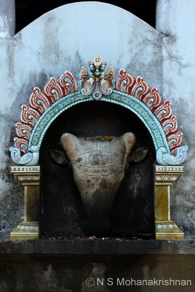 anandeeswr-kmannarkovil-1