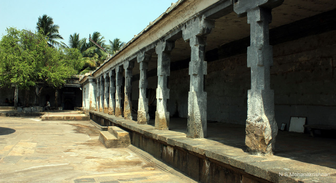 anandeeswr-kmannarkovil-10