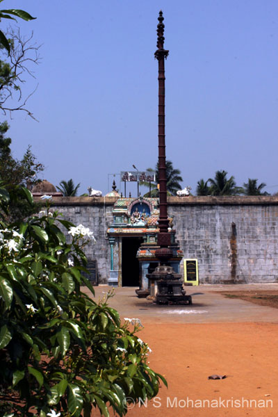 anandeeswr-kmannarkovil-9