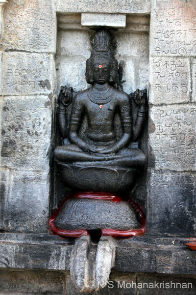 kadambavan-erumbur-3