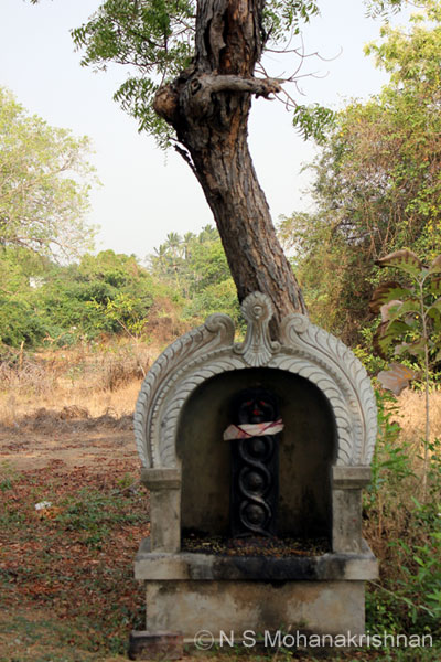 kv-vasaputhur-7