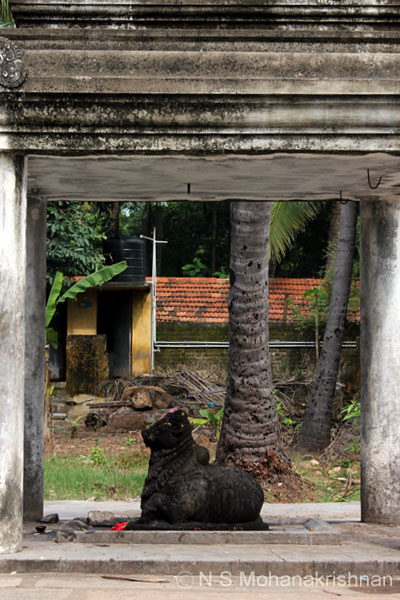 saneeswara-nackoil-3