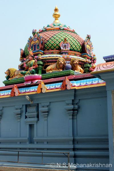saranarayan-panruti-3