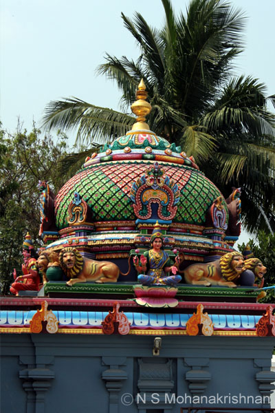 saranarayan-panruti-5