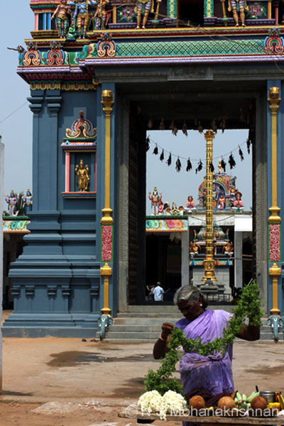 saranarayan-panruti-6