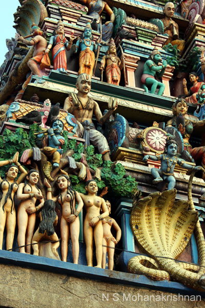 Srinivasaperumal Ambur