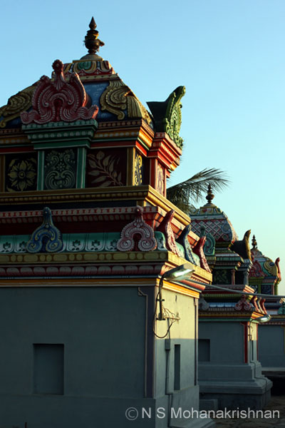 choles-thuvkdi-4