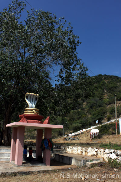 murugan-trpeyar-9