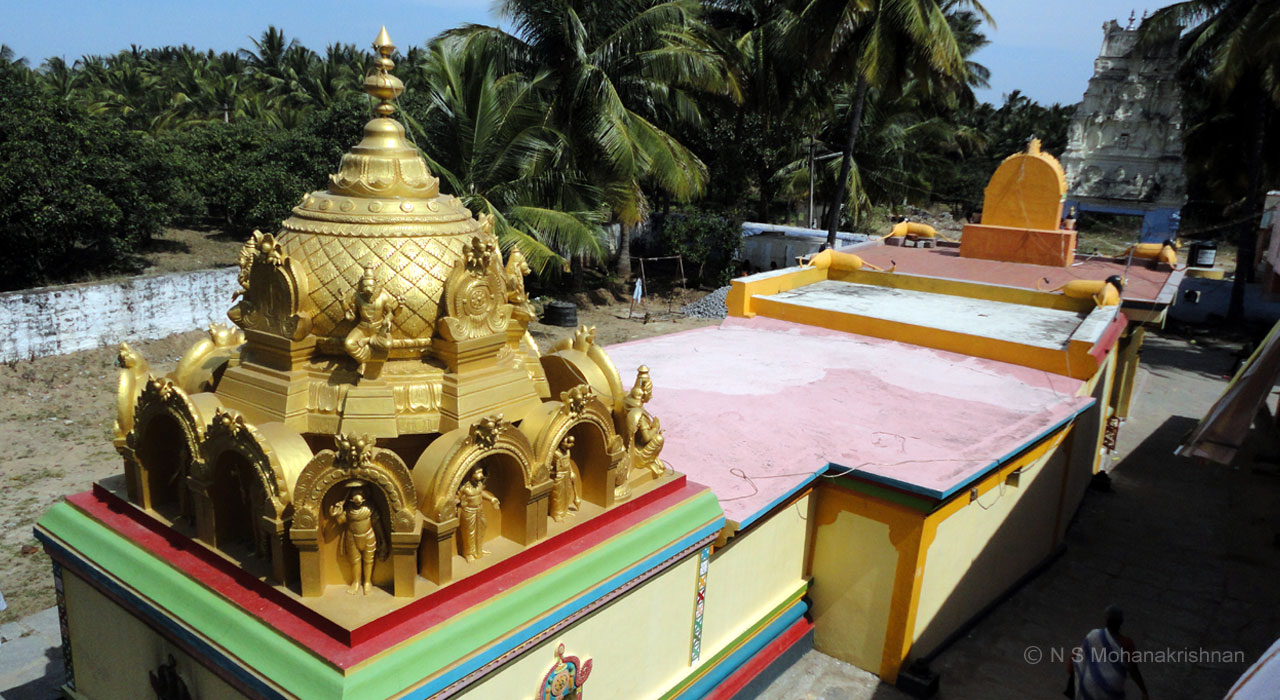 lakshminarasimhar-varadanap-1