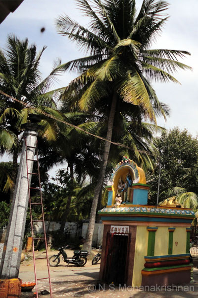 lakshminarasimhar-varadanap3
