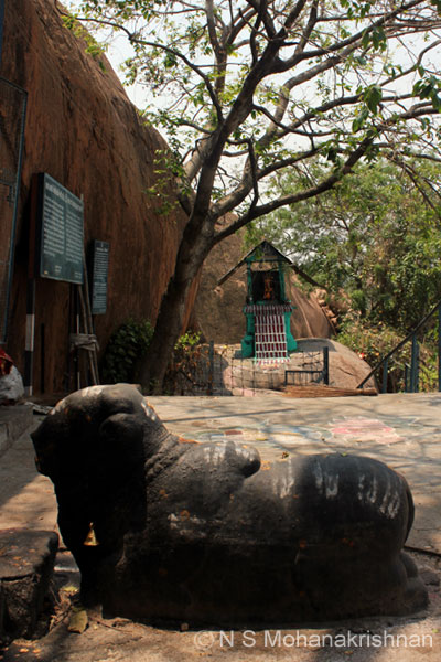 rock-shiva-4