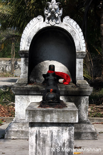 perumal-panamalai-5