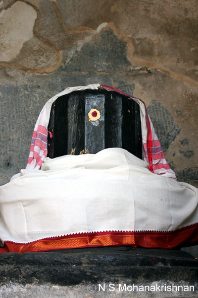talgi-panamalai-1