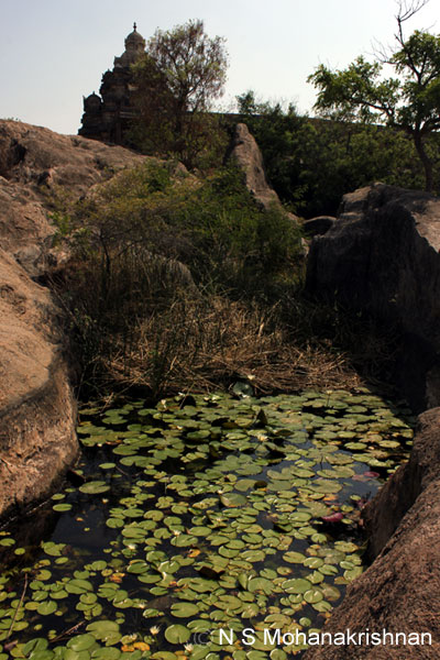 talgi-panamalai-15