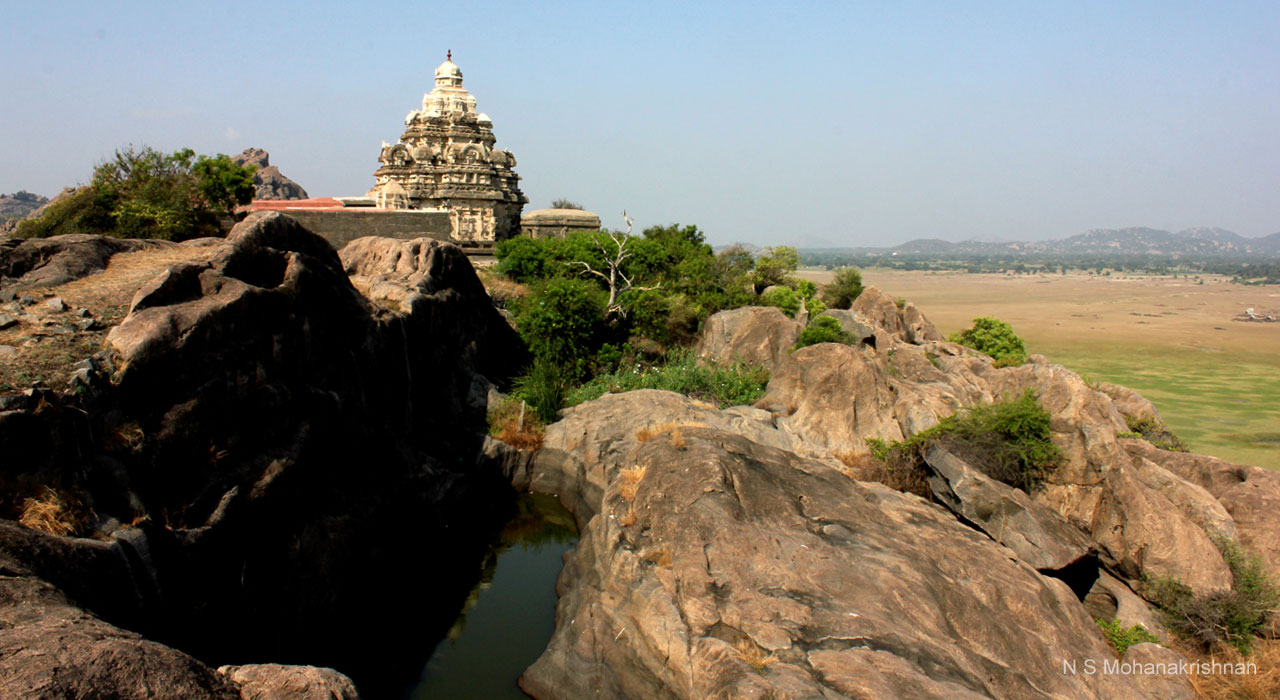 talgi-panamalai-20