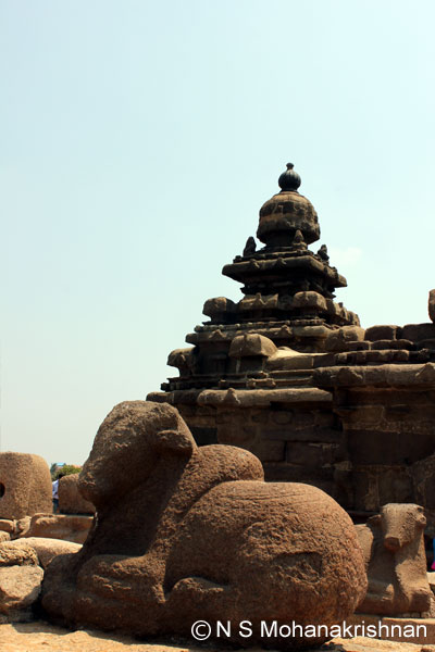 shore-temple-6