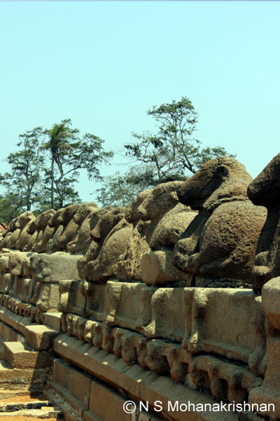 shore-temple-7