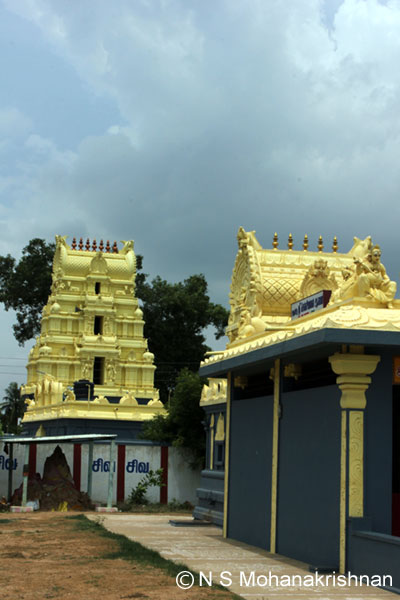 pitchlswr-panpakkam-4