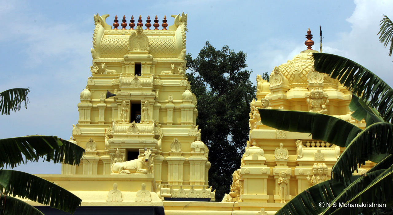 pitchlswr-panpakkam-5