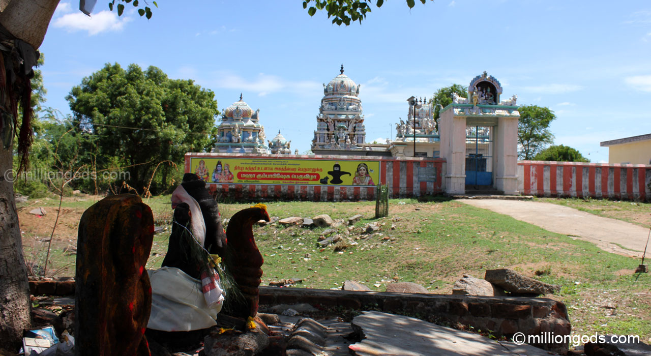 agast-cheyyarvendran-1