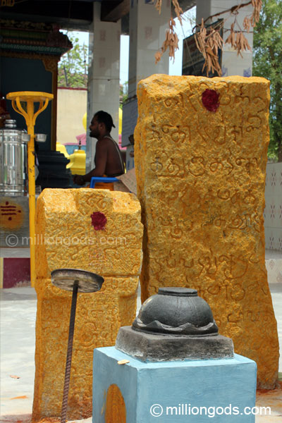 simha-avaniapuram-3