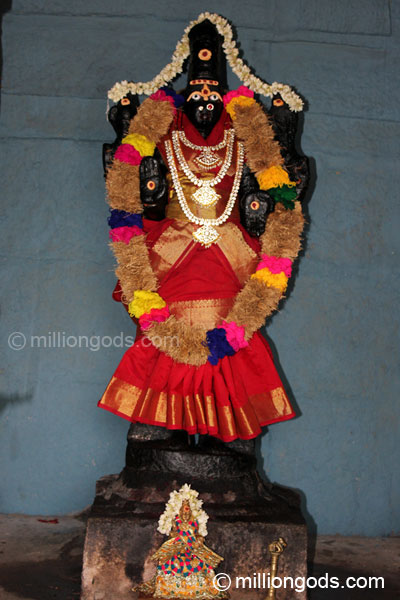 simha-avaniapuram-4
