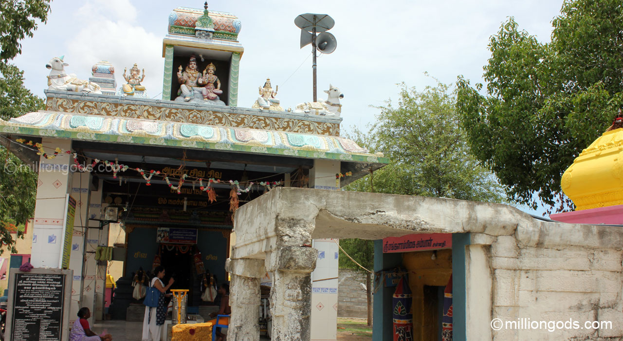 simha-avaniapuram-7