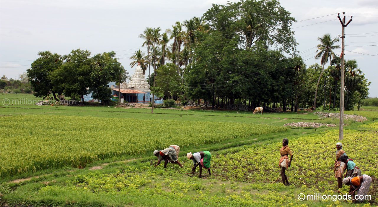 vaithi-tirumani-1