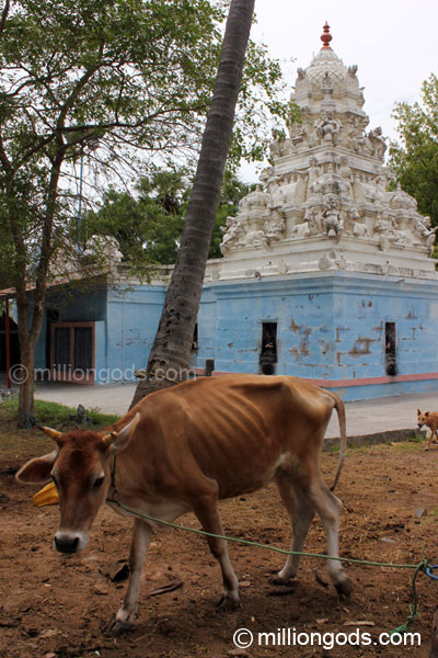 vaithi-tirumani-10