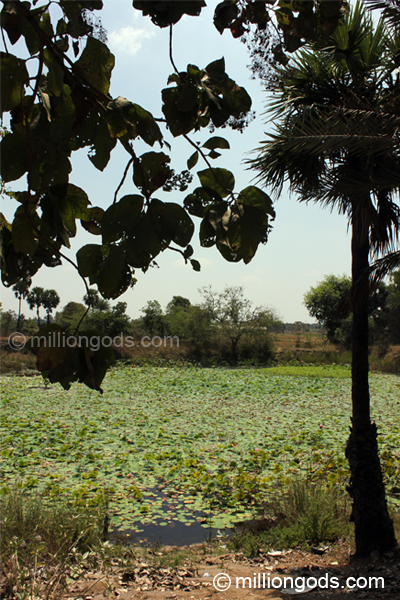 amirtha-erumaivetti-5