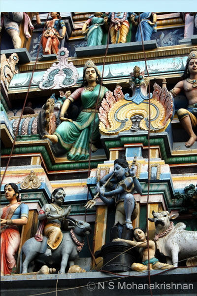 Naganadhar Ambur